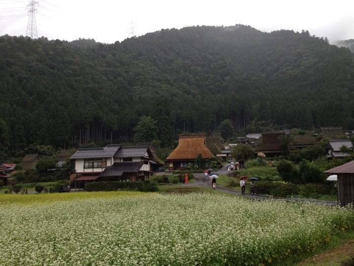 c0352397_09520325.jpeg